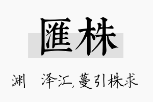 汇株名字的寓意及含义