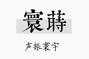 寰莳名字的寓意及含义