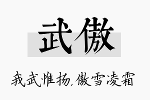 武傲名字的寓意及含义