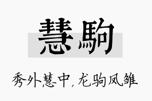 慧驹名字的寓意及含义