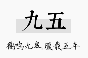 九五名字的寓意及含义