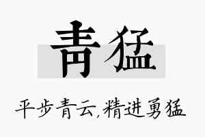 青猛名字的寓意及含义