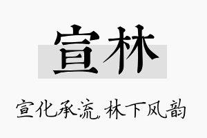 宣林名字的寓意及含义