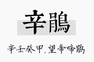 辛鹃名字的寓意及含义