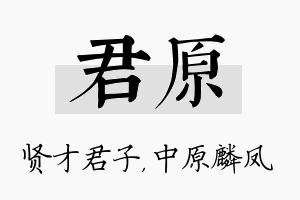 君原名字的寓意及含义