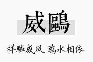 威鸥名字的寓意及含义