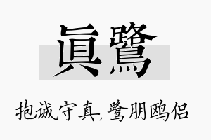 真鹭名字的寓意及含义