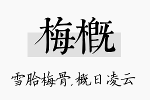 梅概名字的寓意及含义