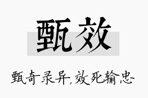 甄效名字的寓意及含义