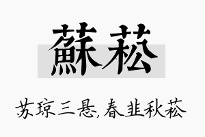 苏菘名字的寓意及含义