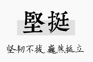 坚挺名字的寓意及含义