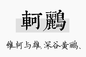 轲鹂名字的寓意及含义