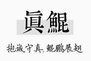 真鲲名字的寓意及含义