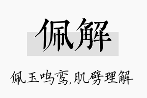 佩解名字的寓意及含义