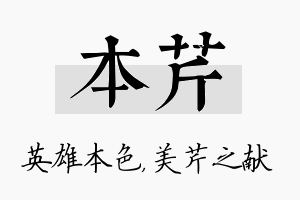 本芹名字的寓意及含义