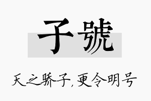 子号名字的寓意及含义