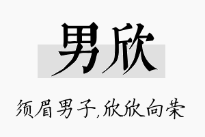 男欣名字的寓意及含义