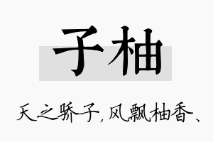 子柚名字的寓意及含义