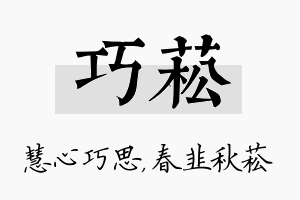 巧菘名字的寓意及含义