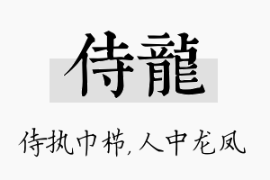 侍龙名字的寓意及含义