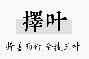 择叶名字的寓意及含义