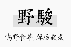 野骏名字的寓意及含义