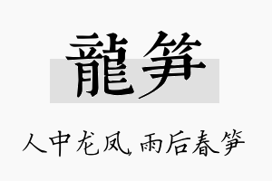 龙笋名字的寓意及含义