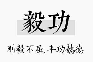 毅功名字的寓意及含义