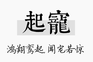 起宠名字的寓意及含义