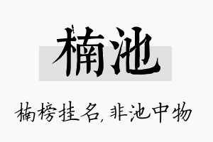 楠池名字的寓意及含义