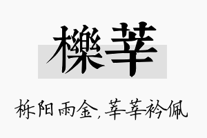 栎莘名字的寓意及含义