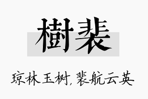 树裴名字的寓意及含义