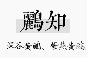 鹂知名字的寓意及含义