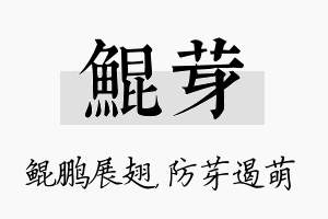 鲲芽名字的寓意及含义