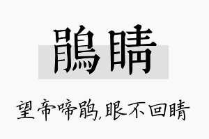 鹃睛名字的寓意及含义