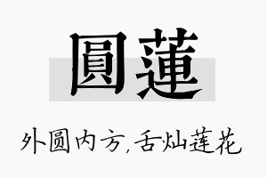 圆莲名字的寓意及含义