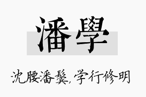 潘学名字的寓意及含义