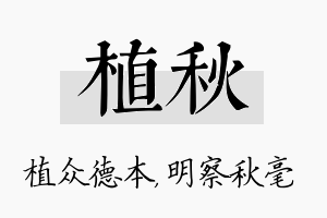 植秋名字的寓意及含义