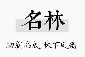 名林名字的寓意及含义