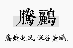 腾鹂名字的寓意及含义