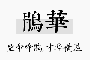 鹃华名字的寓意及含义