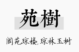 苑树名字的寓意及含义