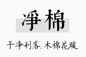 净棉名字的寓意及含义