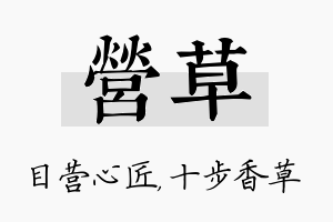 营草名字的寓意及含义