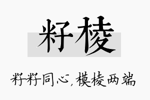 籽棱名字的寓意及含义