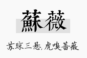 苏薇名字的寓意及含义