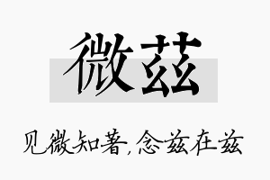 微兹名字的寓意及含义