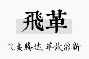 飞革名字的寓意及含义