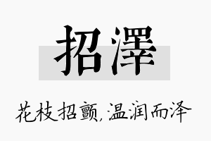 招泽名字的寓意及含义