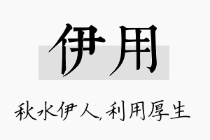 伊用名字的寓意及含义